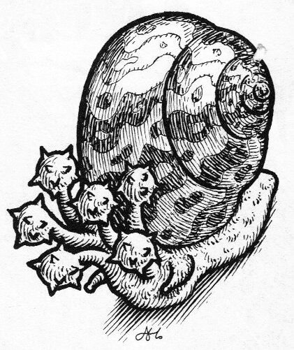 Flail Snail